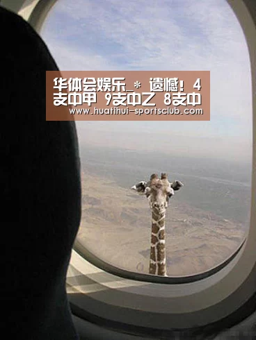 华体会娱乐_*
遗憾!4支中甲 9支中乙 8支中冠 天海 中国职业足球多队宣布遣散(图2) 华体会娱乐APP