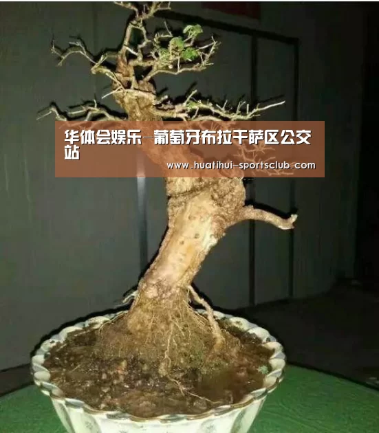 华体会娱乐-葡萄牙布拉干萨区公交站(图2) 华体会在线娱乐