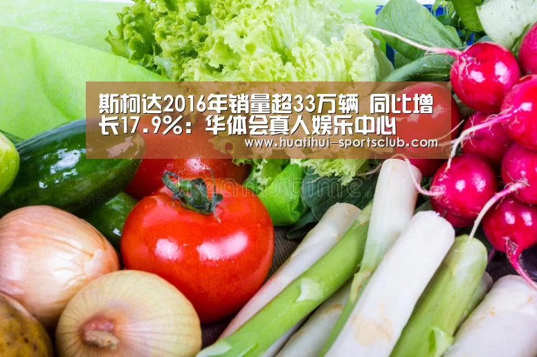 斯柯达2016年销量超33万辆 同比增长17.9%:华体会真人娱乐中心(图3) 华体会真人娱乐中心