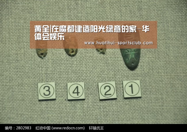 黄全|在魔都建造阳光绿意的家-华体会娱乐(图1) 华体会娱乐