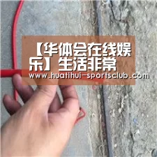 【华体会在线娱乐】生活非常朋克 被扇保时捷女车主人称月姐(图2) 华体会在线娱乐