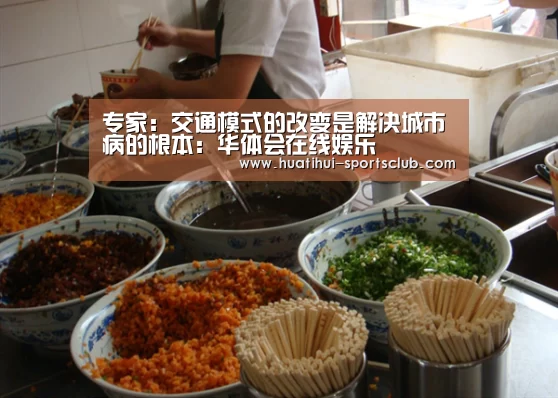 专家:交通模式的改变是解决城市病的根本:华体会在线娱乐(图3) 华体会娱乐