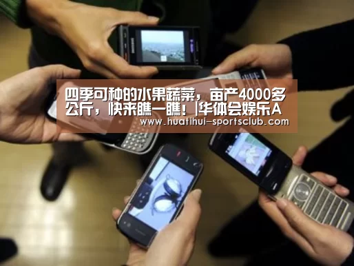 四季可种的水果蔬菜,亩产4000多公斤,快来瞧一瞧!|华体会娱乐APP(图1) 华体会娱乐